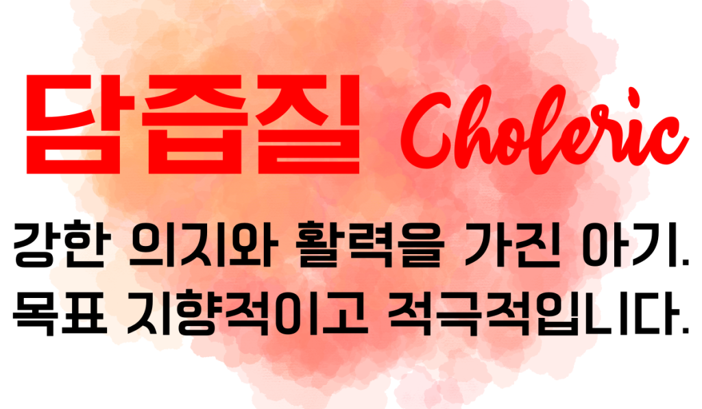 기질 담즙질